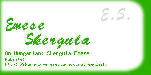 emese skergula business card